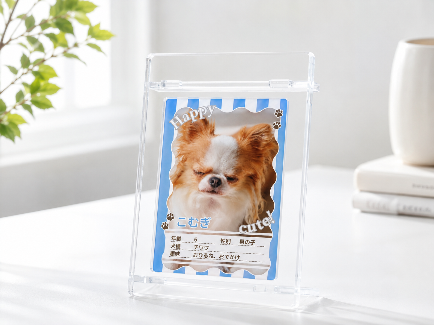 アクリルカードスタンドの商品写真