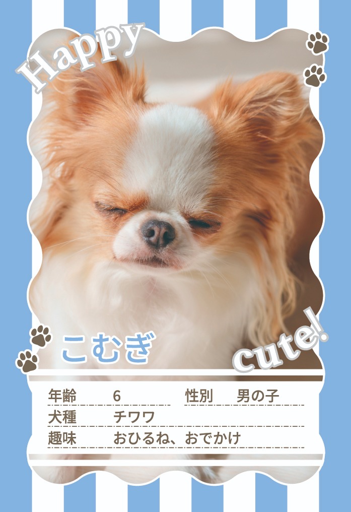 TYPE A かわいいストライプデザイン
