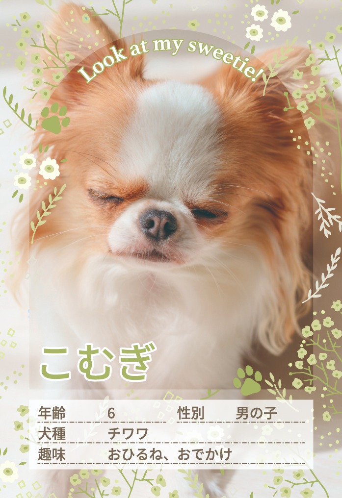 TYPE C ナチュラルなお花デザイン